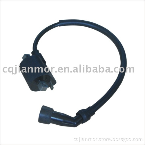 Ybr125 Ignition Coil